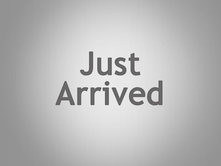 2005 MINI COOPER 2D HATCHBACK S R53 UPGRADE II